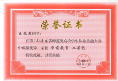 第六届山东省师范类高校学生从业技能大赛获奖